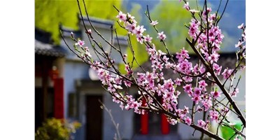 阳春三月，J9集团精机一大波展会即将来袭，您筹备好了吗？